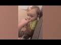 Funny Naughty Sneaky Babies Steal - Cute Baby Videos