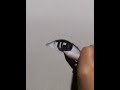 How to draw a realistic eye & eyebrow | Time speed Draw