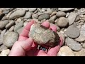 Rockhounding North Carolinas South Toe River 2024