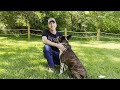 STEP By STEP Guide To Training Your Dog To Come Every Time!
