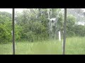 Flashing, Booming, Pouring Rain, Florida T-Storm⚡️