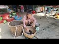 Vietnamese girl catches snails for a living - ha thi muon