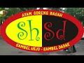 Review Restoran Sunda Sambel Hejo Sambel Dadak SHSD Cibubur | Tempatnya Nyaman dan Menunya Enak