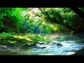 【Soothing piano music】Piano music to soothe a tired heart　/ Relaxingmusic for work and study.