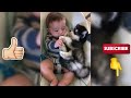 FUNNIEST Pets of 2024 😂 Best Funniest Animal Videos Of The Month