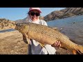 Carp Fishing at Lake Kaweah