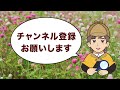 【間違いさがしクイズ】簡単な問題から難しい問題まで！脳活おすすめ動画ゲーム！#47