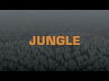 The Blaze x Endel - JUNGLE (Wind Down Soundscape)