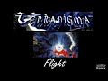 Terranigma - Flight (HLEET Remix)