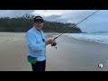 Beach Fishing the Food Chain: BREAM, WHITING, TAILOR, SALMON +++