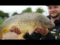 You won't believe HOW BIG these fish are!