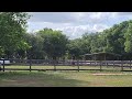 dust devil dade city fl