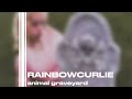 Animal graveyard-@Rainbowcurlie (slowed)