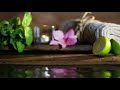 Relaxing Piano Music Bamboo Water Fountain, Sleep Music, Relaxing Music, Meditation Music