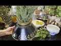 ***CHRISTMAS DECORATION IDEAS*** | CHRISTMAS VELVETS, VESSELS, CANDLES, & OLD BOOKS