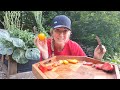 Tomato Tasting | 15 Varieties