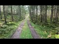 Virtual Trail Run 38 min I Hallagärde, Fritsla, Sweden 8 km I Treadmill Scenery Workout in 4K I 2023