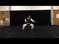 Gekisai Nidan by Kenshu Hideo Watanabe, 9th dan, at the age of 73. This video was taken on 17-7-2019