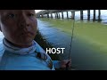 Mangrove Snapper in Tampa Bay | South Florida Saltwater Bridge Fishing