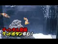 【90㎝水槽】色んな種類の日本淡水魚が大集合！エサやり映像【4Kアクアリウム】
