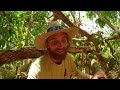 A day in the Wilderness Hunting with Aboriginal men | Catch and Cook