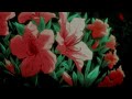 trippie redd - flowers ft. bryson tiller [slowed + reverb]