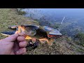 Crazy Fast RC Fishing Boat Trolling For  Bass | Blackjack 42