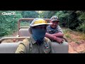EP 01 - Magadhi Zone Safari - Bandhavgarh Tiger Reserve - 4K Video Hindi | हिन्दी