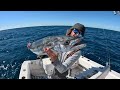 Light Tackle Mackerel Fishing | Non-Stop Action - CCC