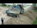 Full Video!! Filling Land Use Dozer BD2J MITSUBISHI And Dump Truck 5T Pushing Soil Fill the soil.