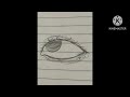 Siren eye tutorial for 10 likes!