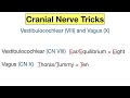 Cranial Nerves MADE EASY: Mnemonic & Tricks for their Names & Function