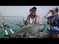 King Salmon Fishing on Lake Michigan - In Depth Outdoors TV, Season 15 Episode 23