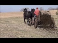 Pete & Joe Spreading Manure