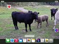 How  to change the icon of your apps