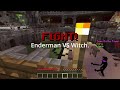 Minecraft- Fighting mutant monsters.