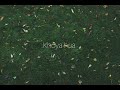 Khoya Hua | Original song | Official Music Video