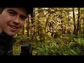 Peaceful Fall Photography and ELK in the Rainforest