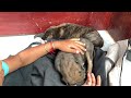 Germanshepherd with Baby Dogs 🐶 in Asia,#dogs #germanshepherd #youtube