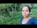आज का ब्लॉग गढ़वाली मे पूरी गढ़वाली बोल चाल #viralvideo #pahadilifestyel #uttarakhand