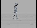 humanoid robot walks