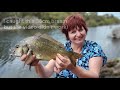 How to catch Bream on Kangaroo Island (fishing Chapman River)