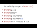 Medical terms 7, Respiratory system