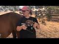 Horse safety - Learning how to approach a horse and how to safely move around horses.