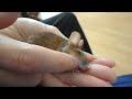 Docile field mouse Wutz petted into trance mode
