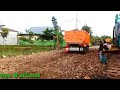 truk Fuso jomplang muatan pasir batu//dump truk Mitsubisi fuso