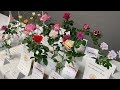 Lincoln Rose Society - Central District Rose Show and Conference｜Lincoln, Nebraska #rose #roses