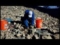 Mt Umunhum Rocky soils restoration demonstration: Golden Hour Restoration Institute - Lech Naumovich