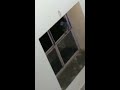 Pigeon save himself in a home