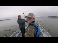 John with 72 pound Blue Catfish Wheeler Lake, Al